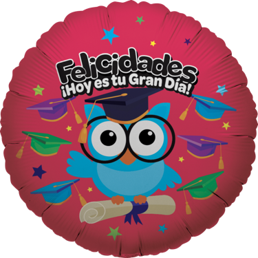 Felicidades hoy es un gran día! 18 pulgadas