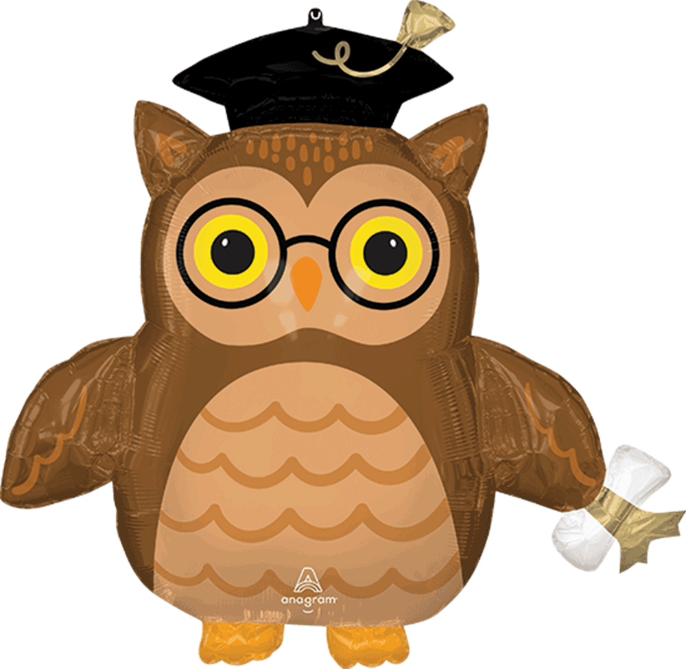 Globo Graduacion Graduate Wise Owl Supershape helio